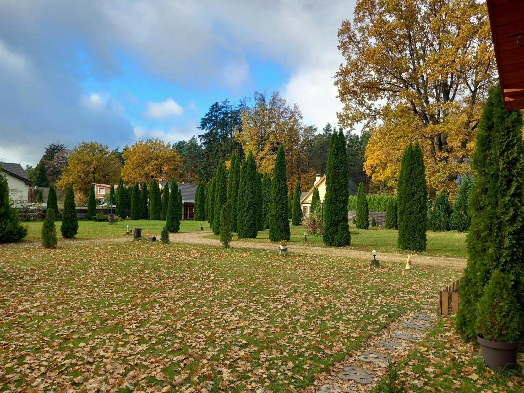 Vakantiehuis Forest Edge House Riga