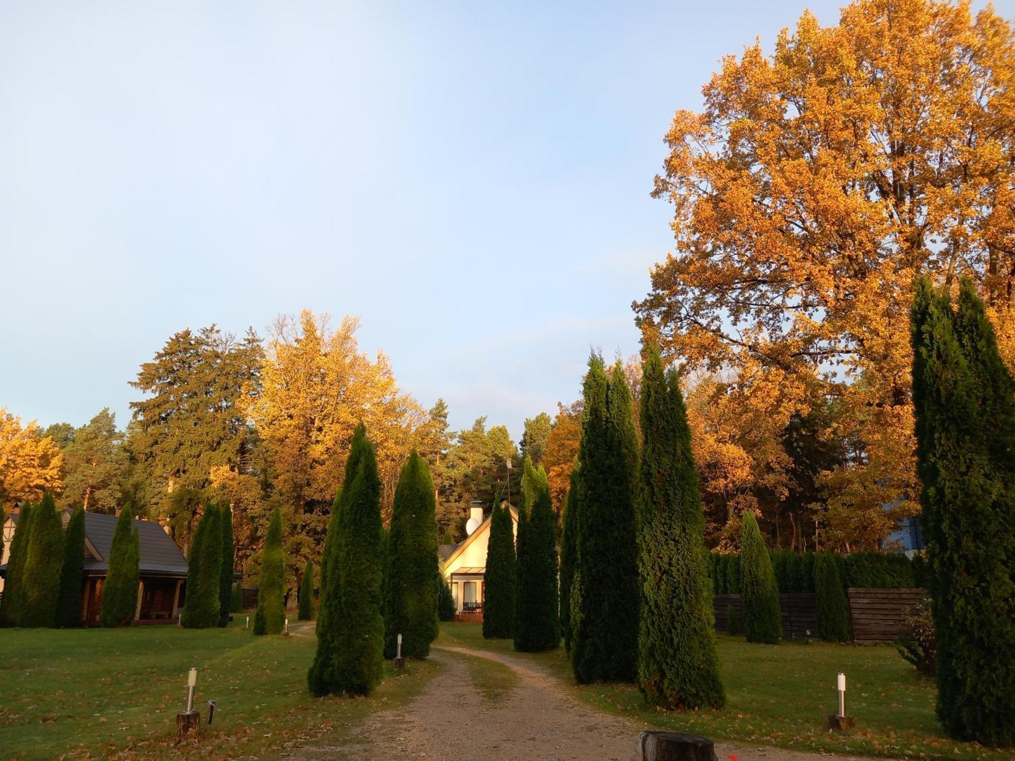 Forest Edge House 里加